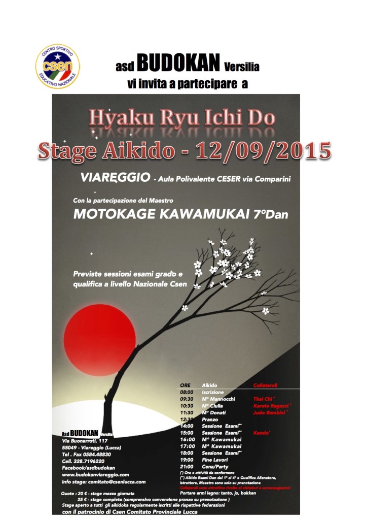 Stage HYAKU RYU ICHI DO - Cento stili una Via