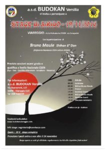 aikido-seminario-viareggio