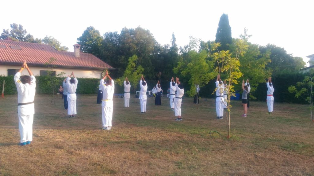 Budo, Aikido e Aikishintaiso